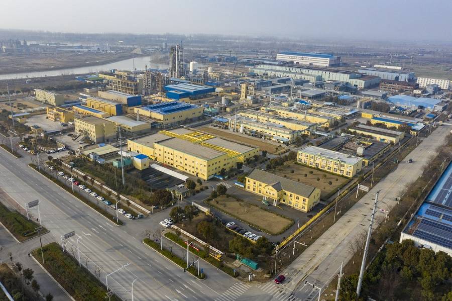 天津伟才高新技术企业有限公司药业首次公开发行股票并上市辅导备案信息公示